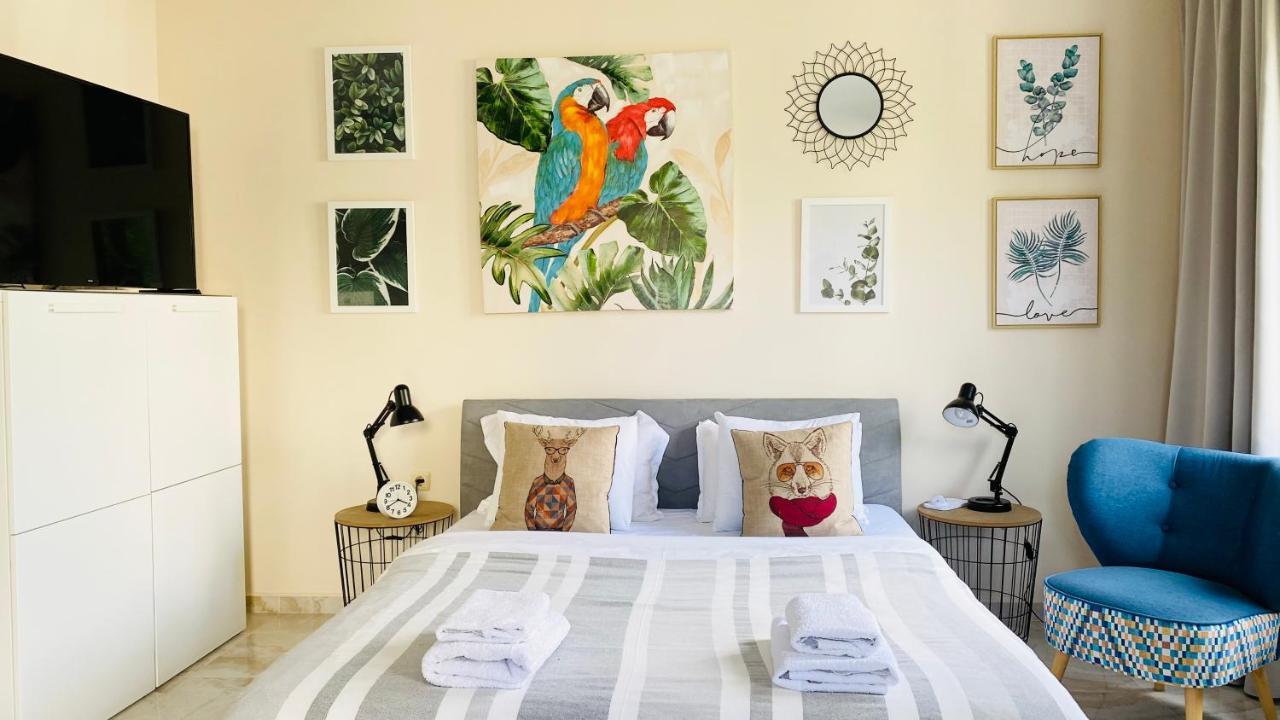 Apartello Artur - Modern Studios - سفيتي فلاس المظهر الخارجي الصورة