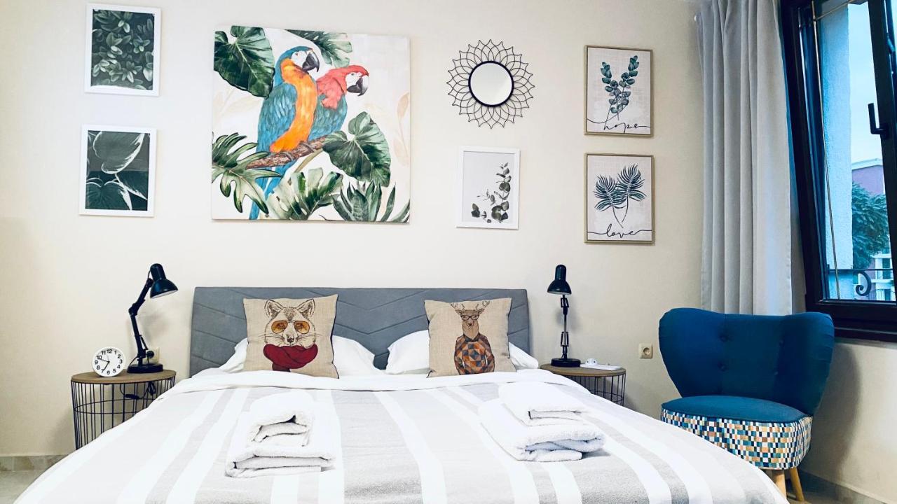 Apartello Artur - Modern Studios - سفيتي فلاس المظهر الخارجي الصورة