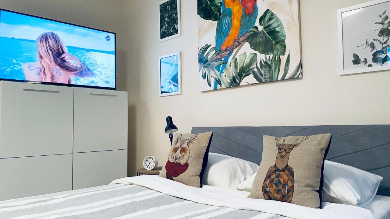 Apartello Artur - Modern Studios - سفيتي فلاس المظهر الخارجي الصورة
